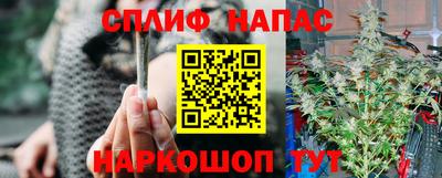 Альфа ПВП Новозыбков